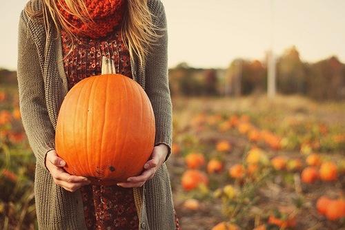 (foto: Web)