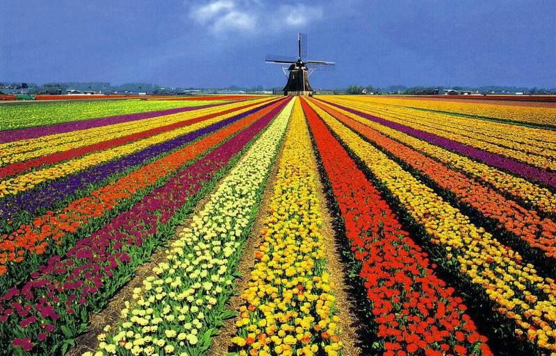 Foto: web