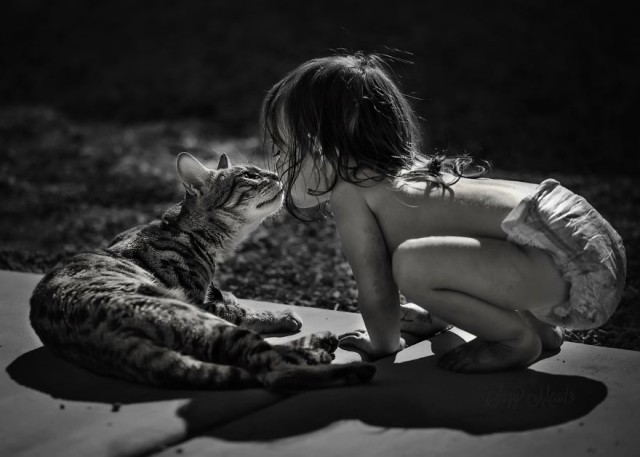 (foto: Web)