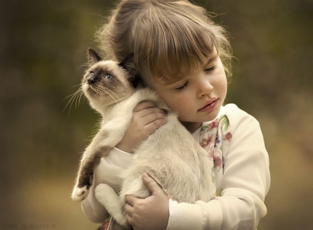 (foto: Web)