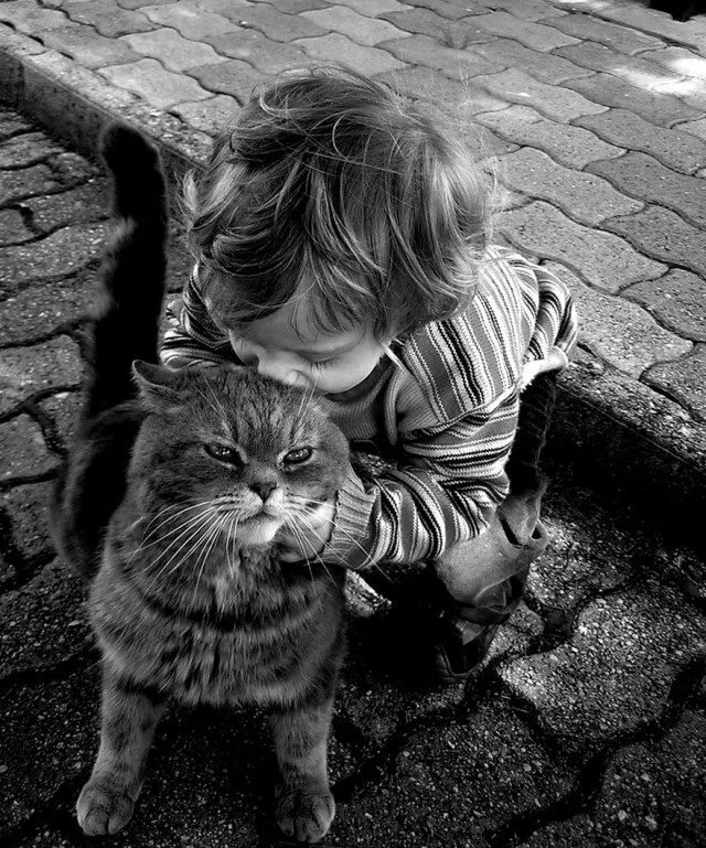 (foto: Web)