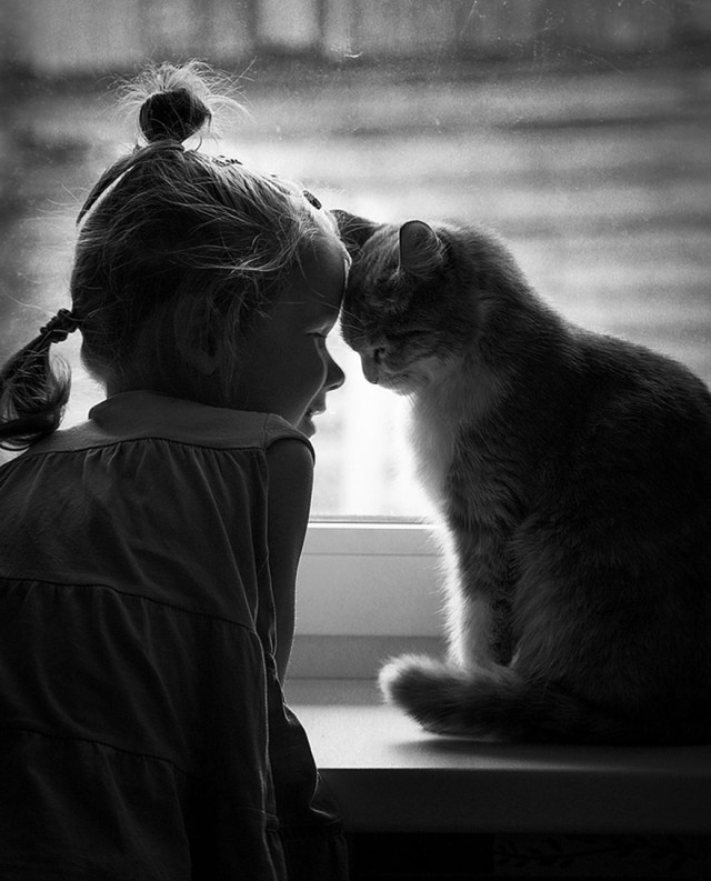 (foto: Web)