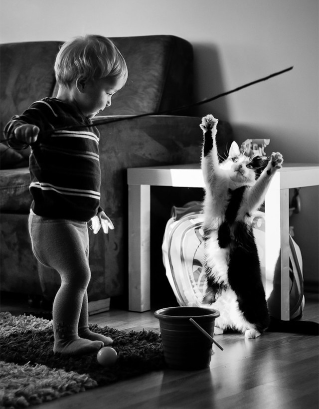 (foto: Web)