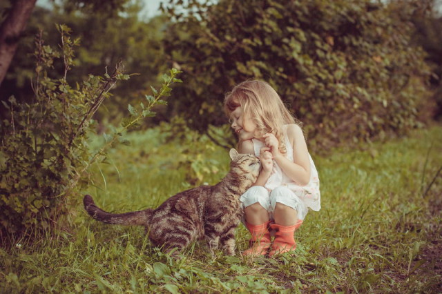 (foto: Web)
