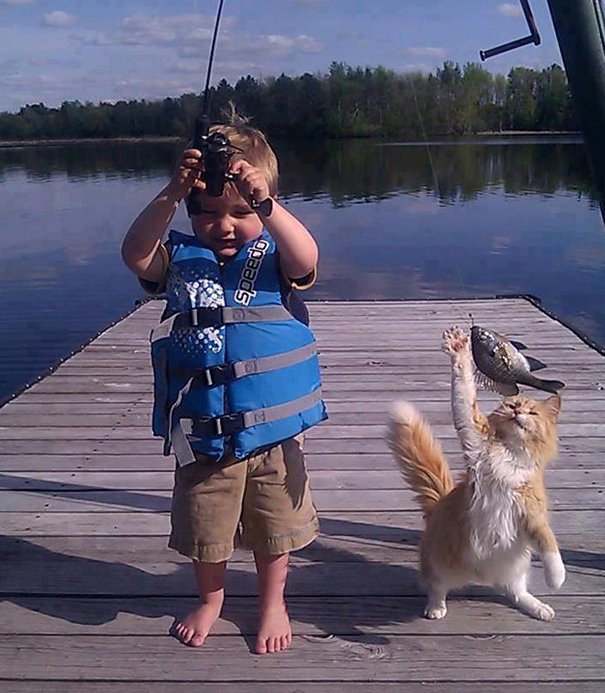 (foto: Web)