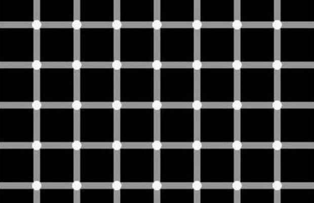 Foto: Web