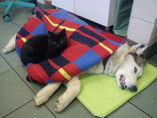 Foto: Web