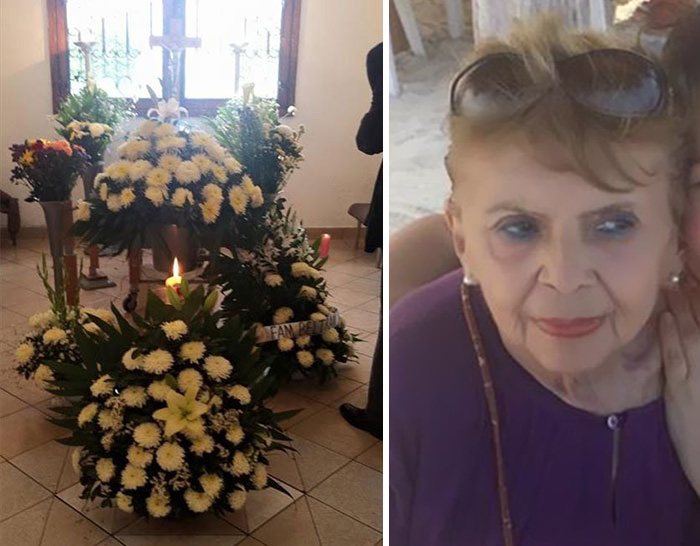 Cani Randagi al Funerale della Donna che Si Prendeva Cura di Loro