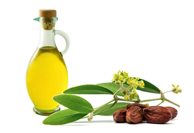 Eliminare rughe contorno occhi Olio di Jojoba