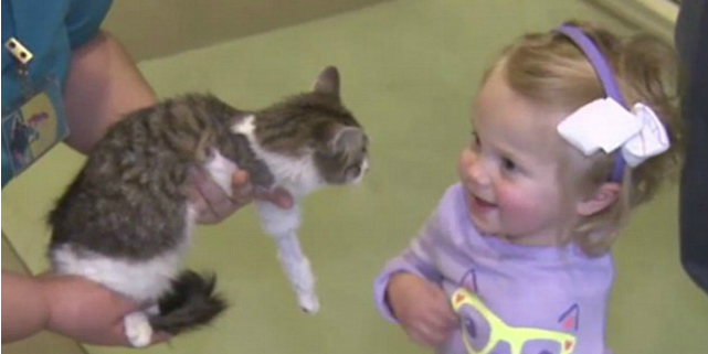 bambina gattino arti amputati