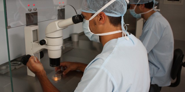 Fecondazione in vitro: cos’è e come si fa?