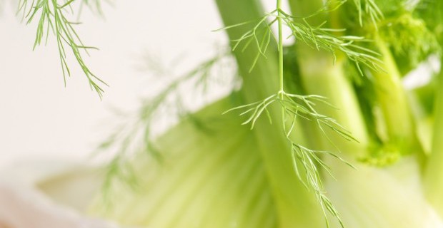 5 alimenti per aiutarci a tornare in forma
