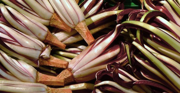 5 alimenti per aiutarci a tornare in forma