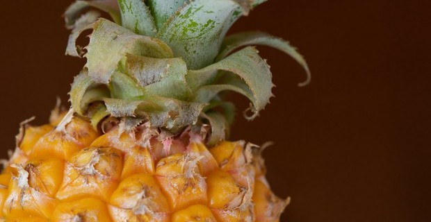 5 alimenti per aiutarci a tornare in forma